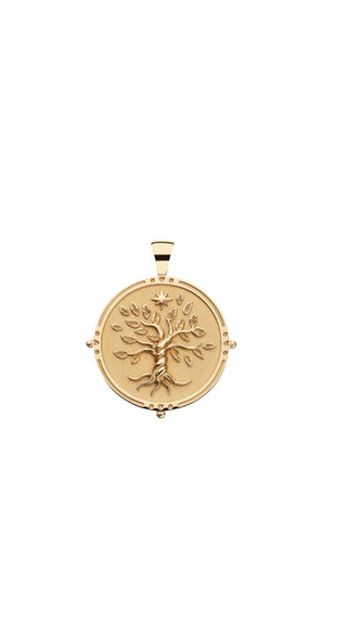 FAITH JW Original Pendant Coin Gold 16-18" Beaded Satellite Chain