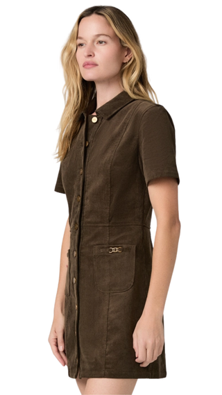 Clementine Dress With Seams, Fern