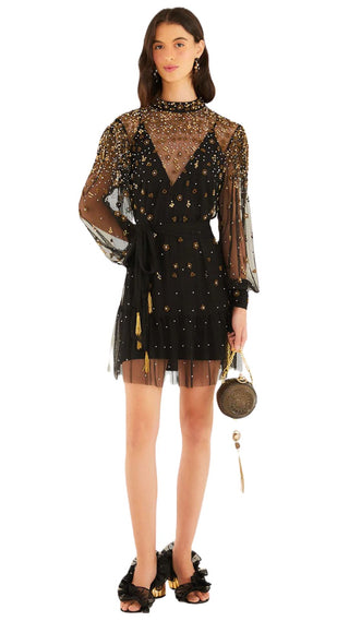 Embroidered Tulle Black Mini Dress