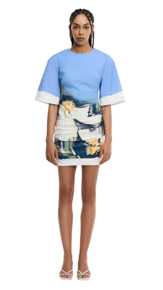 Beaux Mini Dress - Posy Impression