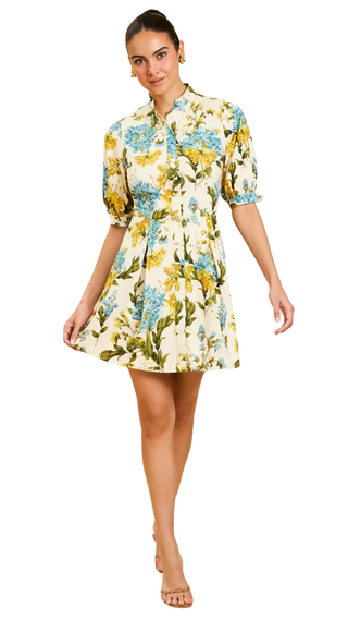 Brooklyn Mini Dress - Verdant Blooms