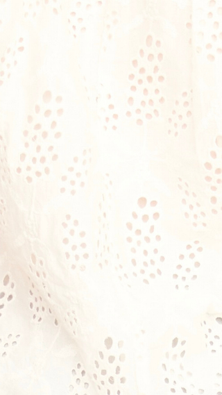 Lostine Top In White Hyacinth Eyelet