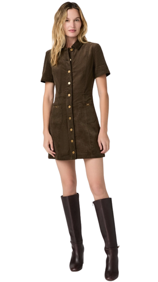 Clementine Dress With Seams, Fern