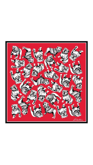 Sic'em Gameday Scarf - Red