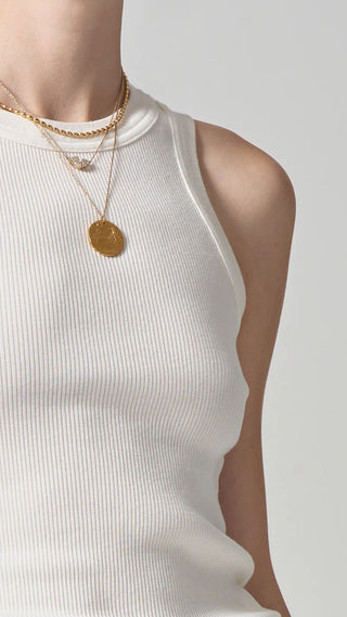 Isabel Rib Tank- Pashmina