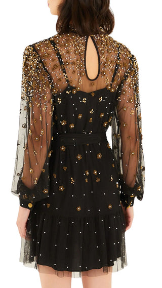 Embroidered Tulle Black Mini Dress