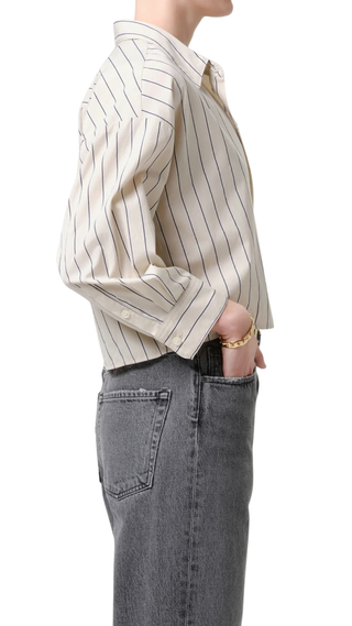 Petit Ami Shirt, Ramble Stripe