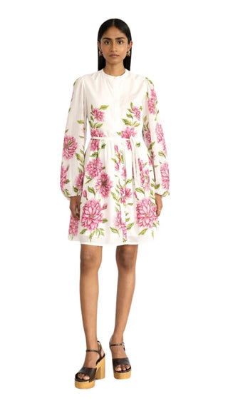 Allegra Dress