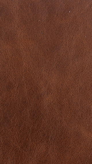 Classic Leather - Saddle