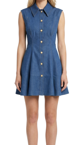 Albie Dress, Denim
