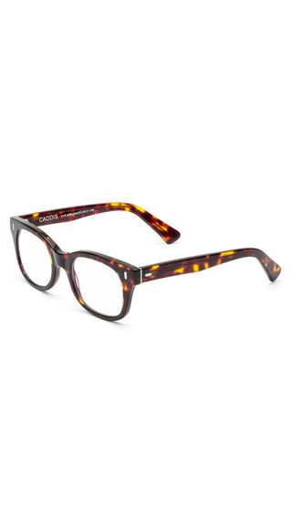 Bixby Progressive Sun Readers